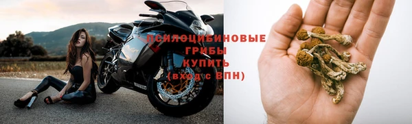 эйфоретик Нефтегорск